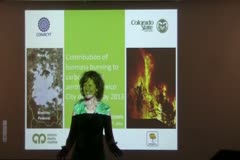 Contribution of Biomass Burning to Carbonaceous Aerosols in Mexico City During May 2013