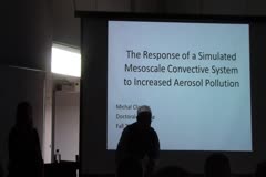 The Response of a Simulated Mesoscale Convective System to Increased Aerosol Pollution