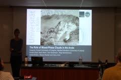 Arctic Amplification: The Role of Mixed-Phase Clouds