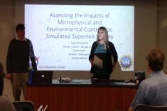 Assessing the Impacts of Microphysical and Environmental Controls on Simulated Supercell Storms