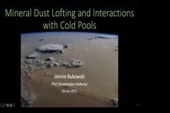 Mineral Dust Lofting and Interactions with Cold Pools