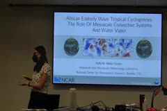 African Easterly Wave Tropical Cyclogenesis: The Role of Mesoscale Convective Systems and Water Vapor