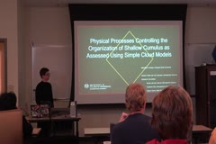 Physical Processes Controlling the Organization of Shallow Cumulus as Assessed Using Simple Cloud Models